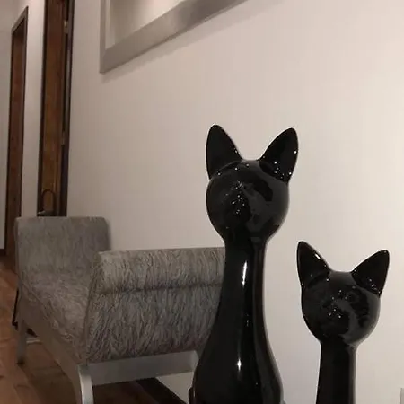 ホステル Casa Do Gato