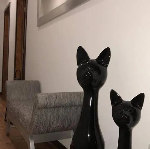 Albergue Casa Do Gato